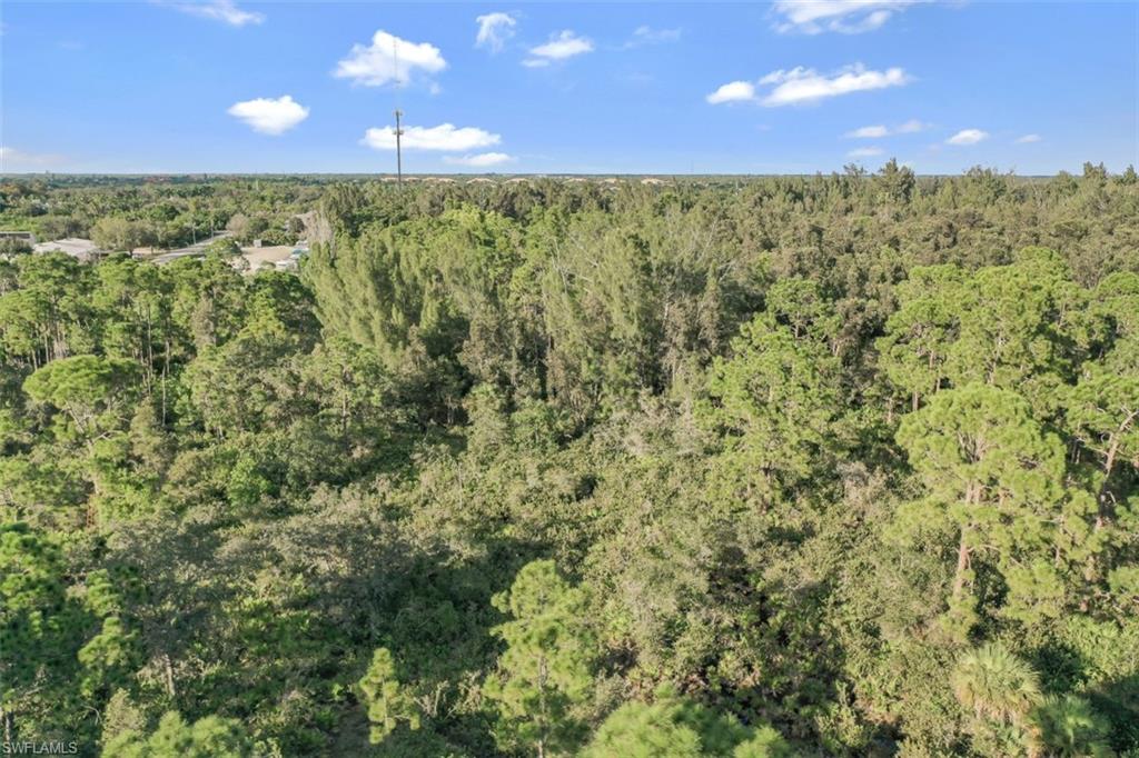 ESTERO SPRINGS - Land