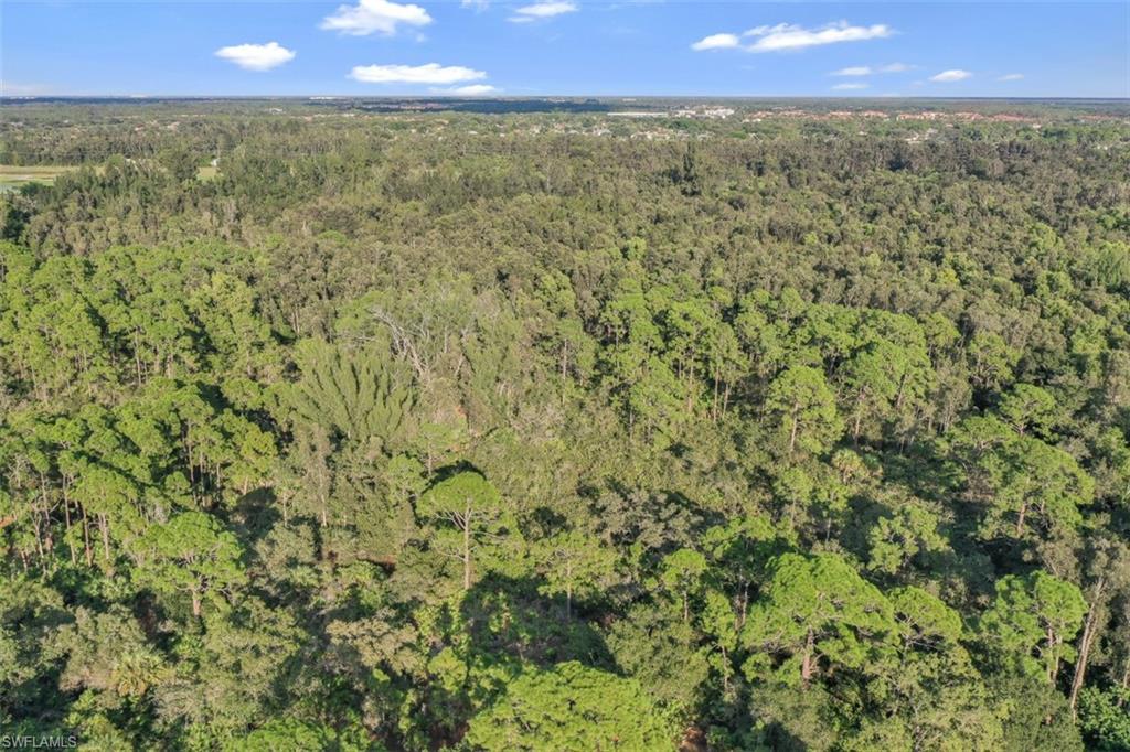 ESTERO SPRINGS - Land