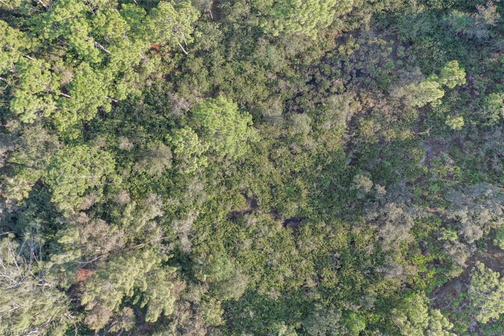 ESTERO SPRINGS - Land