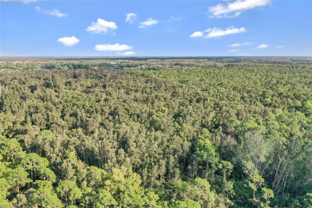 ESTERO SPRINGS - Land