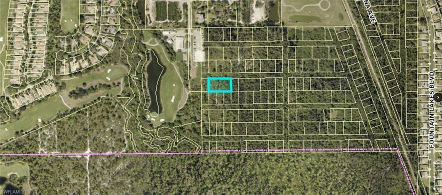This large lot can be split into 3 separate lots!  Great opportunity to invest or build your own dream home. Perfect location! Within minutes of beaches, shopping, fine-dinning, entertainment and RSW airport. Estero Springs is one of the last undeveloped subdivisions West of 41 Don't let this one go!