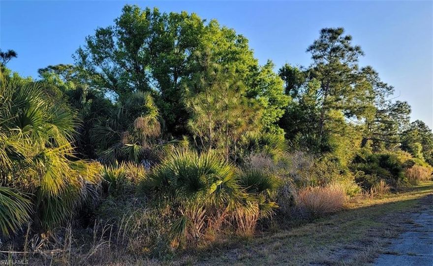 Best time to Buy an Oversized Corner Lot .70 Acres in North Port-Sarasota, the fastest growing U.S. city in the country, according to data released by the business and employment website LinkedIn. Located in Southwest Florida, North Port-Sarasota grew by 107 people per 10,000 LinkedIn members over the last 12 months.
A city with a younger population and more affordable housing. North Port is expected to have the strongest growth in Sarasota County by 2050
Other factors that contribute to Sarasota County's growth include: A low unemployment rate, High-quality healthcare and educational facilities, A thriving business scene, A strong community spirit, and Recreational and cultural events.