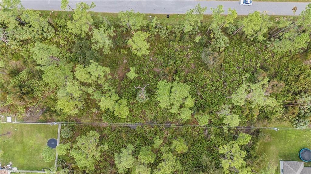 PORT CHARLOTTE - Land