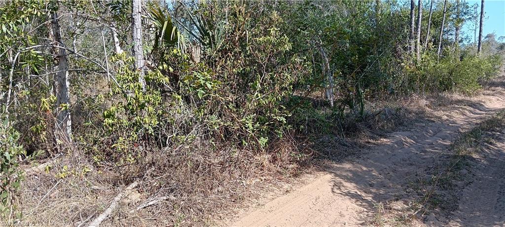 TIMBER TRAILS - Land