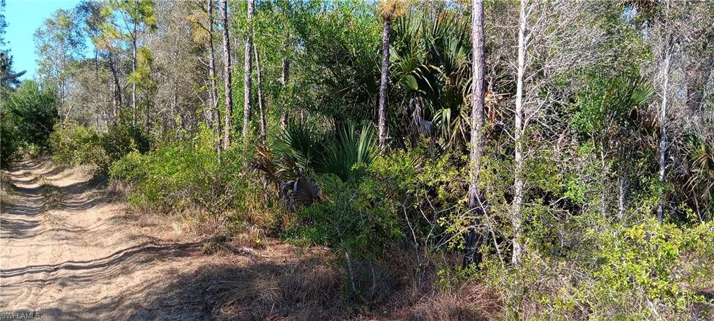 TIMBER TRAILS - Land