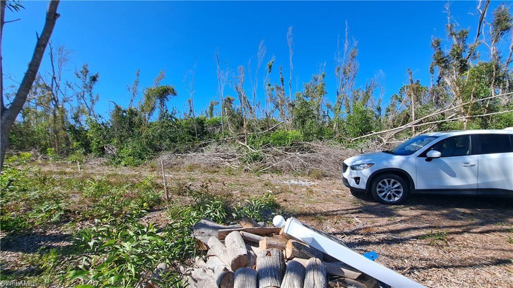 KREAMERS AVOCADO SUBD - Land