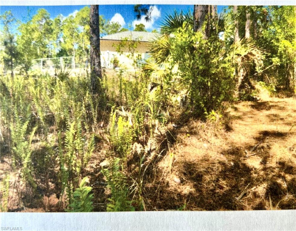 GOLDEN GATE ESTATES - Land