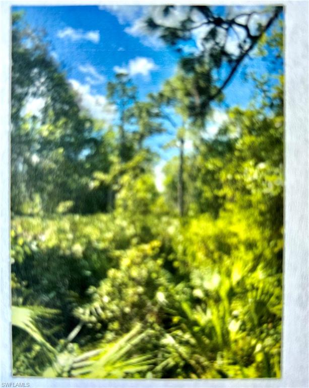 GOLDEN GATE ESTATES - Land