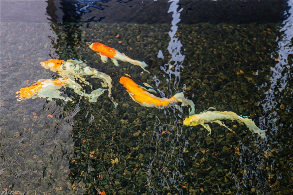 NAPLES CLUB ESTATES - Residential