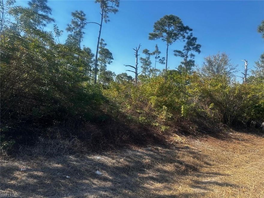 This cleared, vacant lot presents an excellent opportunity for growth and investment in one of Florida’s fastest growing cities. Prime residential lot for sale in the desirable community of Lehigh Acres,ready for your INVESTMENT???