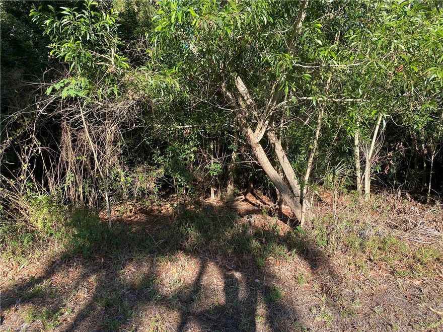 Build the house of your dreams in a natural environment and a large 0.44 acre lot. Also with easy access to I 75, Fort Myers, Naples, RSW International airport and 25 minutes from the beach. SUBMIT YOUR OFFER TODAY.
