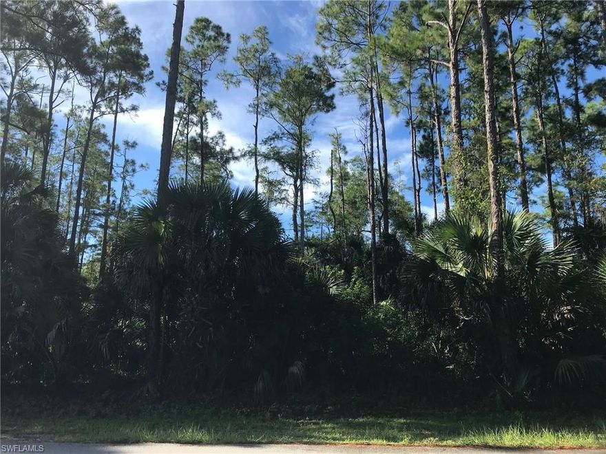 100% Uplands per the 2020 TEC Wetland Determination attached. Enjoy the peaceful, country lifestyle of Golden Gate Estates, just minutes from the splendor and beautiful beaches of Naples, Florida. Build the home of your dreams on this wonderful 2.34 acre lot, close in, west of Collier Blvd. Very convenient location. Many beautiful homes on the street. Plenty of room for a guest house or stables. Zoning allows 2 horses per acre. Beautiful property with lots of nice tall pines.