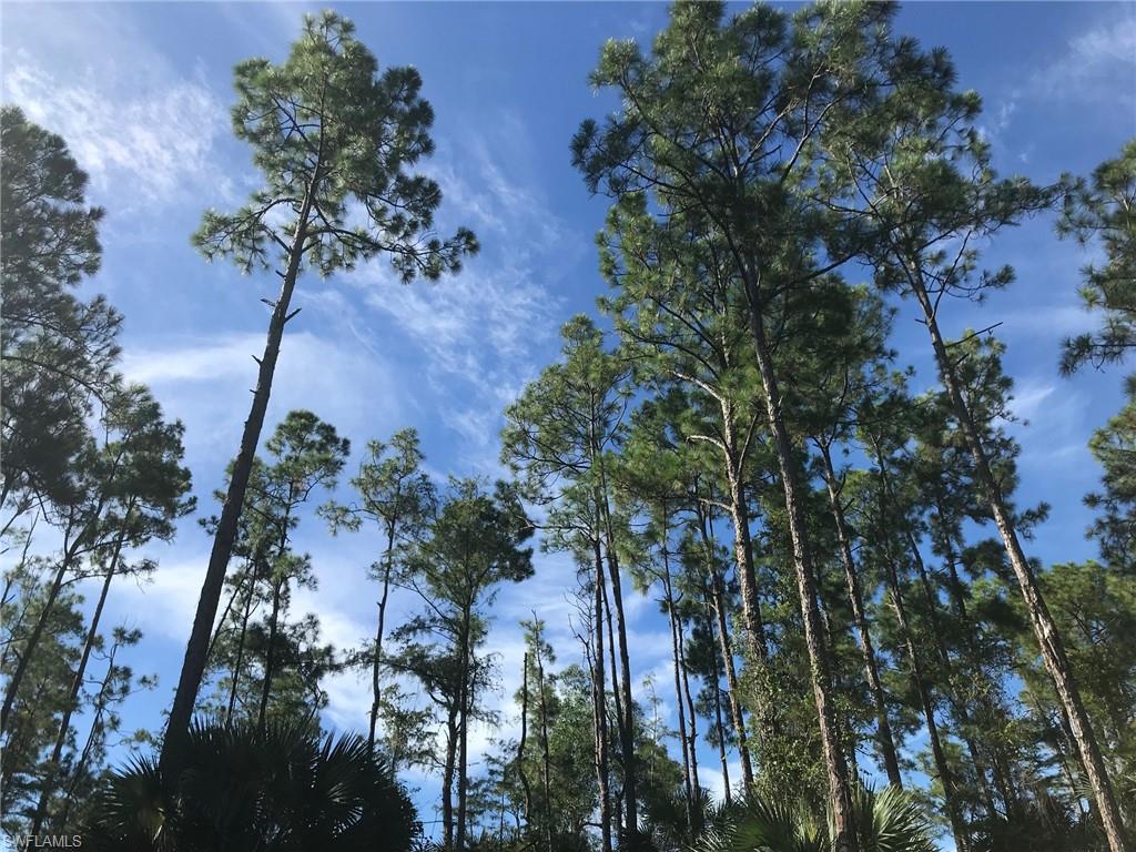 GOLDEN GATE ESTATES - Land