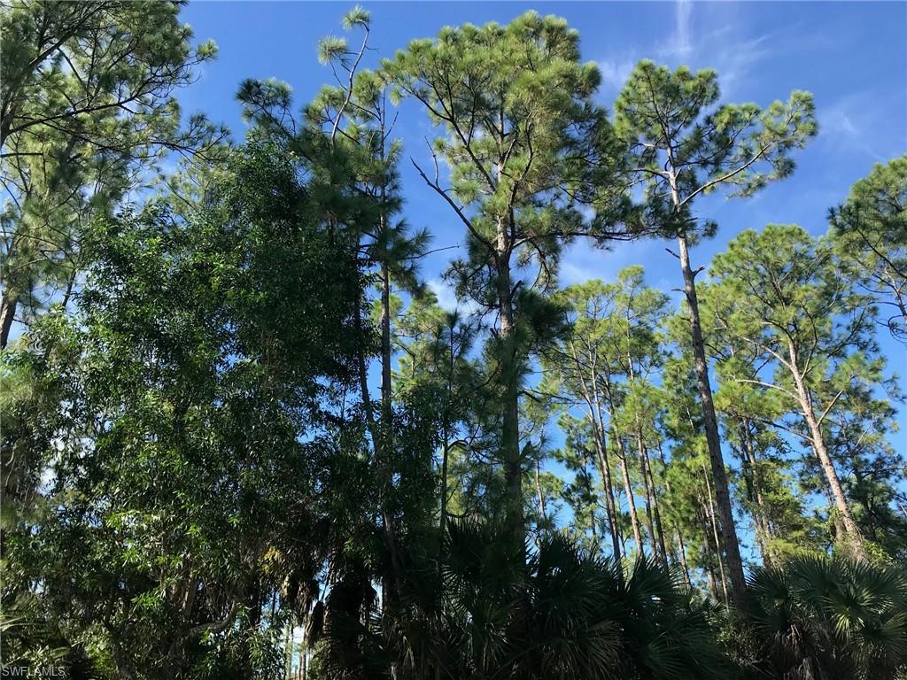 GOLDEN GATE ESTATES - Land