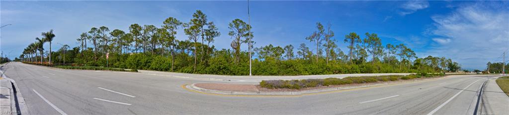 ACREAGE - Commercial Sale