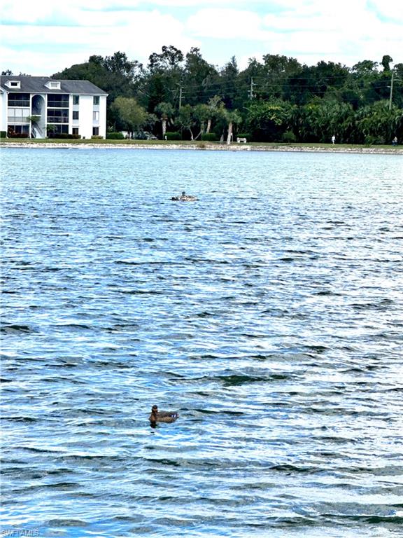 PINE RIDGE OF FORT MYERS VILLAGE - Residential Lease