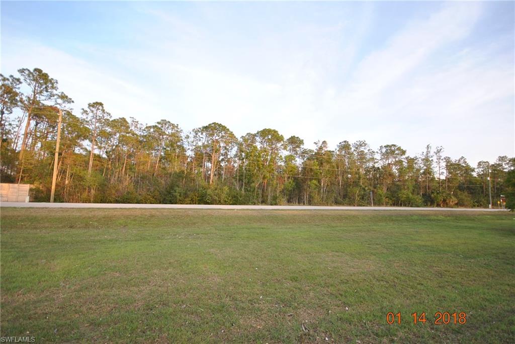 LIVINGSTON WOODS - Land