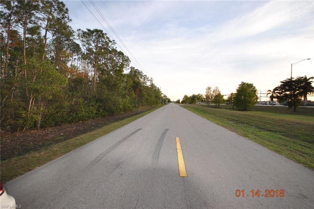 LIVINGSTON WOODS - Land