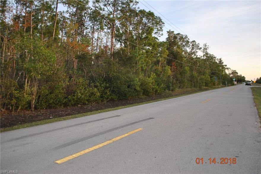 Beautiful lot located in a great central location of Naples surrounded by beautiful homes!  Close to great shopping, dining, downtown, beaches and I75!   Build your dream home or have owner build a custom home for you.