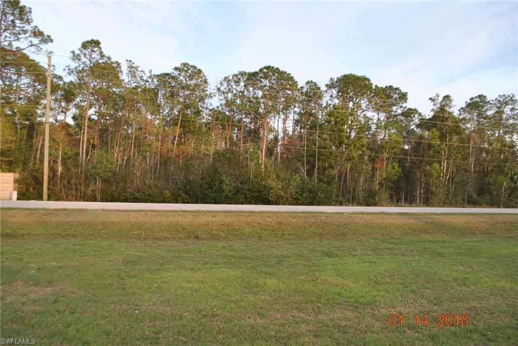 LIVINGSTON WOODS - Land