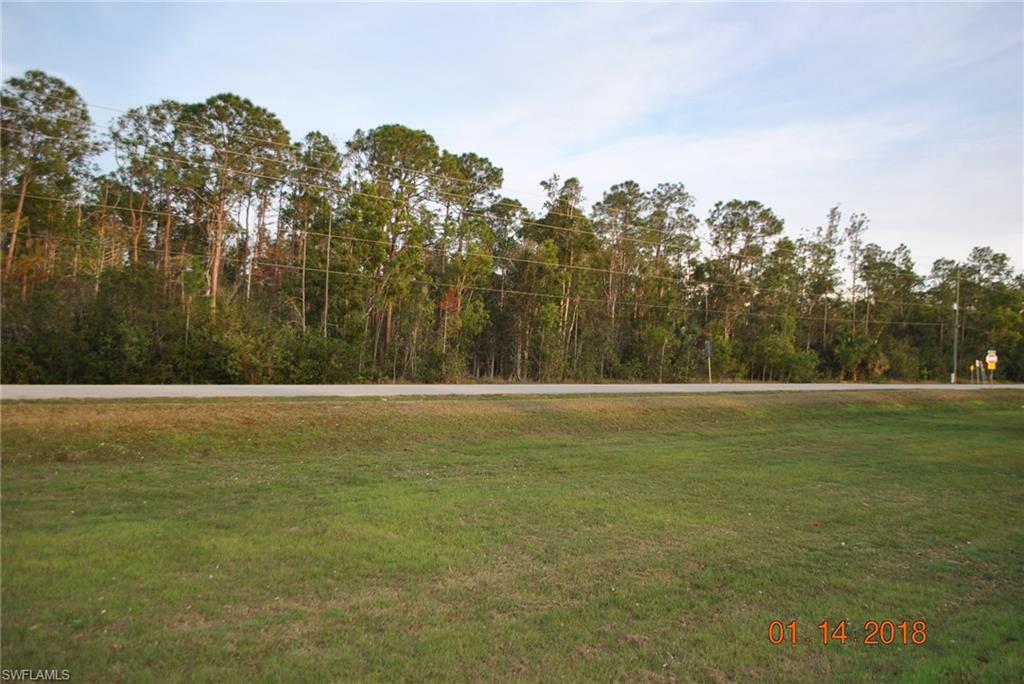 LIVINGSTON WOODS - Land