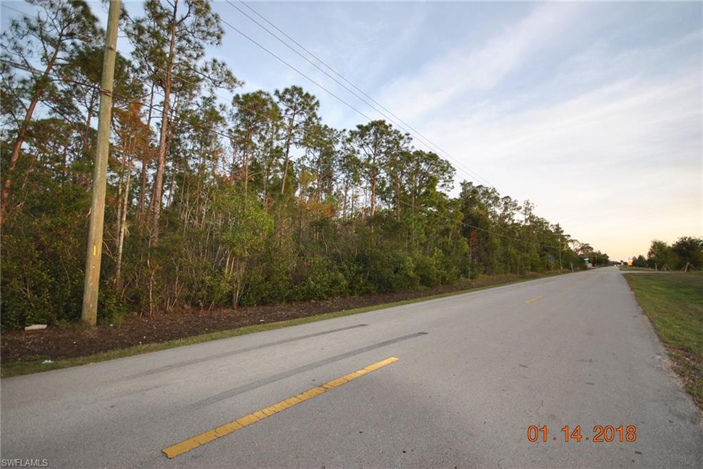 LIVINGSTON WOODS - Land