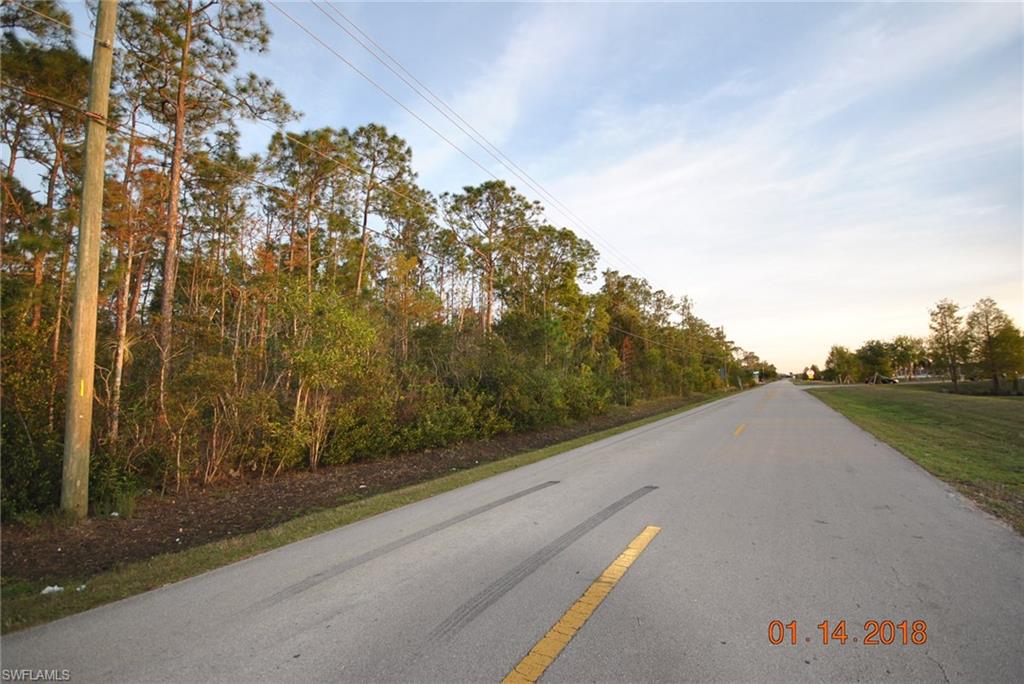 LIVINGSTON WOODS - Land