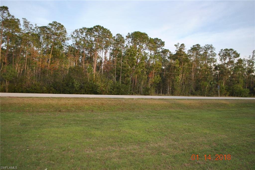 LIVINGSTON WOODS - Land