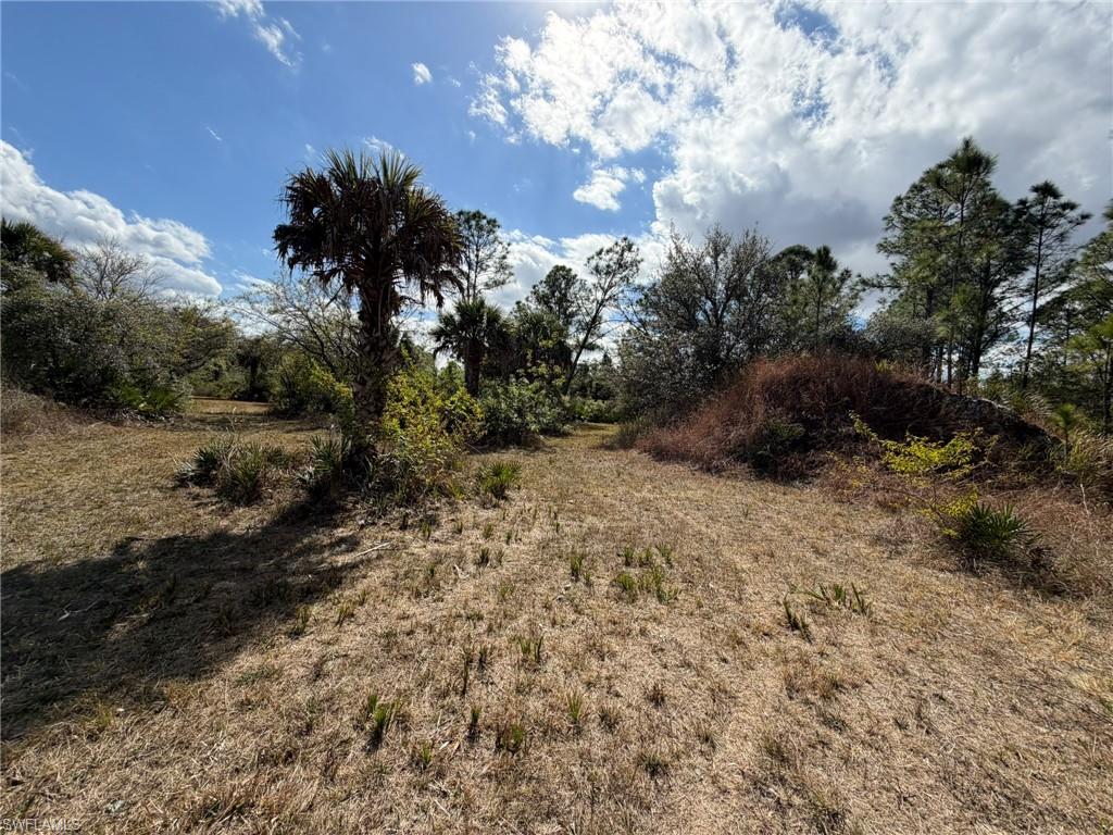 PUNTA GORDA - Land