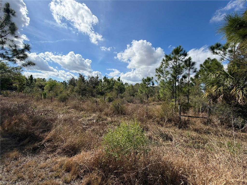 PUNTA GORDA - Land