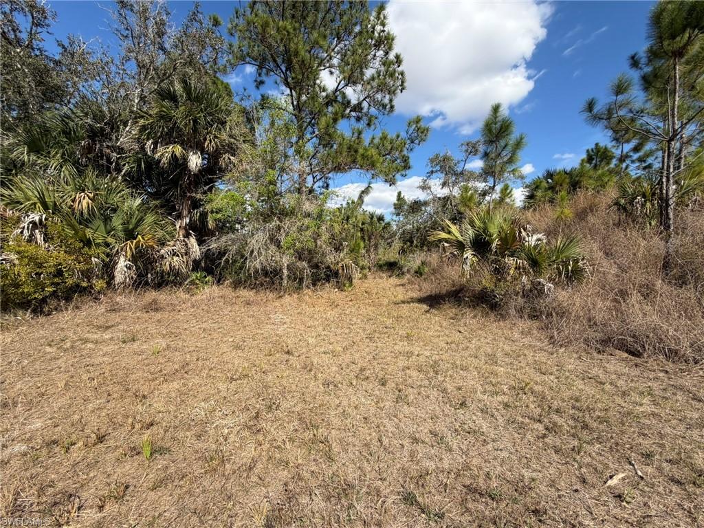 PUNTA GORDA - Land