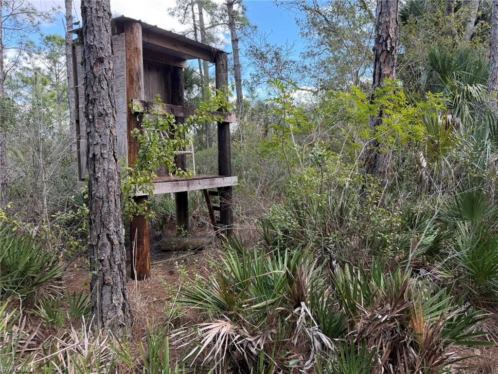 PUNTA GORDA - Land