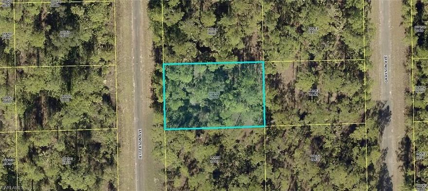 Build your dream home on this quarter acre lot in the growing community of Lehigh Acres.  Easy access to Joel BLvd., Palm Beach Blvd, Caloosahatchee River, Frankline Lock Park and boat launch, schools, churches, shopping, restaurants and the sandy beaches of the Gulf Coast.  Come enjoy all that sunny SW Florida has to offer.  There are several lots on the same street for sale by the same Owner.