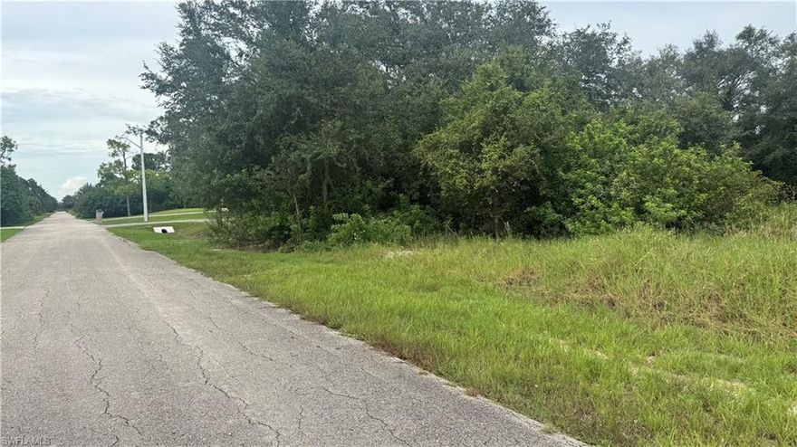 This 1/2-acre vacant lot is perfect for building a large custom home.
There is plenty of space for a spacious garage, a 1,200 sq ft mother-in-law suite, or even a pool—this beautiful piece of land offers endless possibilities.
Electricity is available nearby, with only a few homes in the area needed to bring power to the new construction. This is an excellent opportunity for investors or anyone looking to purchase a desirable parcel of land in a growing area. Reserve your piece of paradise while prices are still affordable and enjoy year round sunshine in beautiful Southwest Florida. 50 Acres  LOT! Great location! Convenient to shopping and restaurants. Only minutes to Joel Blvd. and Lee Blvd. Don't miss this opportunity.