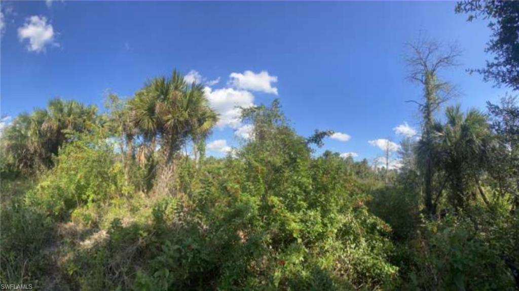 GOLDEN GATE ESTATES - Land