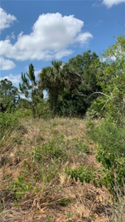 GOLDEN GATE ESTATES - Land