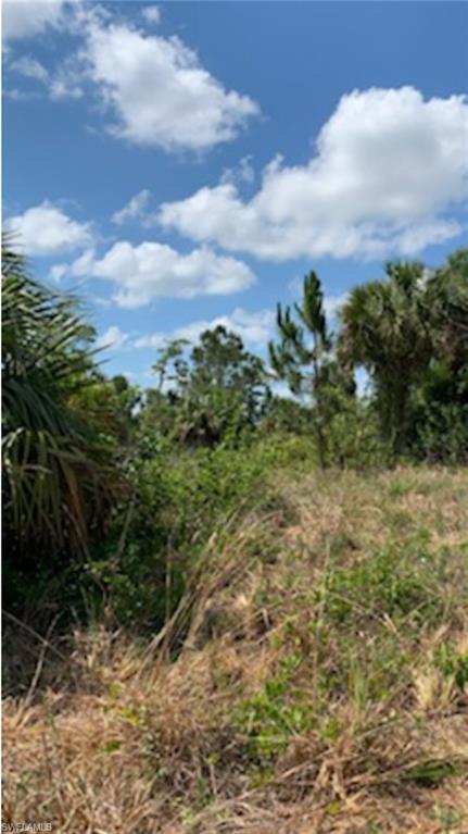 GOLDEN GATE ESTATES - Land