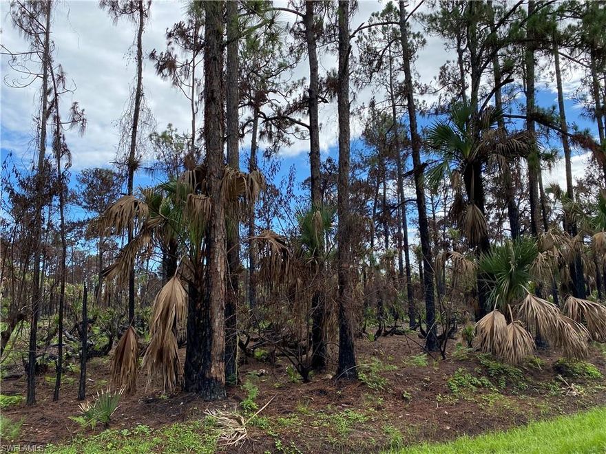 Perfect lot for your dream home. Short distance to Publix and other amenities! 
Great location!