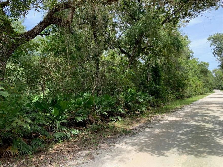 Take a close look at this land! Close to an acre and in the Ridge Manor Estate Subdivision! Plenty of room to build! Very quiet neighborhood with a ton of space from neighbor to neighbor. Perfect as an investment opportunity or for someone who loves the outdoors.