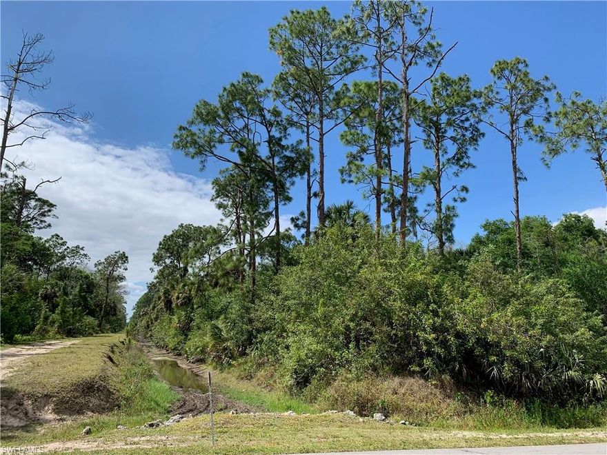 Center and left hand side of property is UPLAND. Wetland Determination shows some wetland towards rear and front. If site plan shows no impact to wetland, an ERP will not be required.