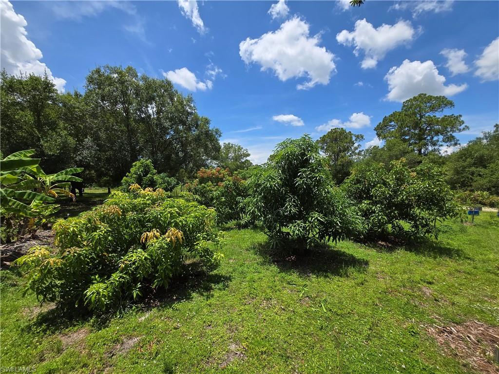 PIONEER PLANTATION - Residential