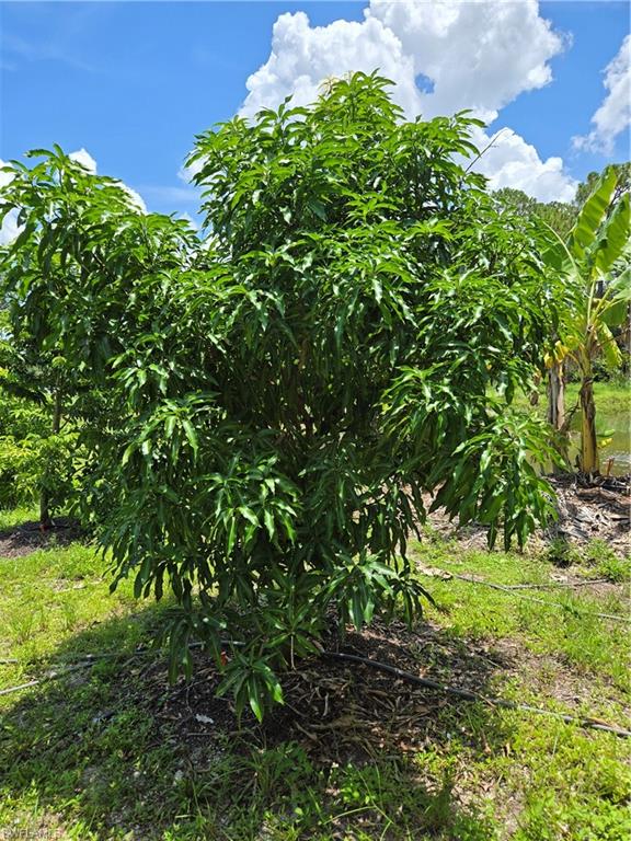 PIONEER PLANTATION - Residential