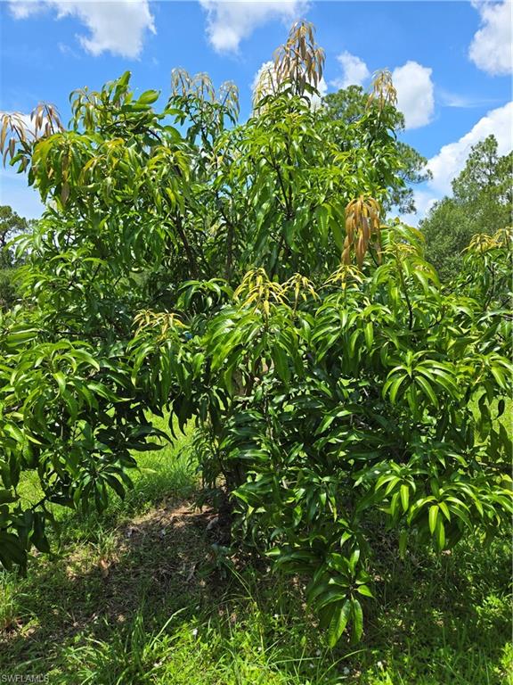 PIONEER PLANTATION - Residential