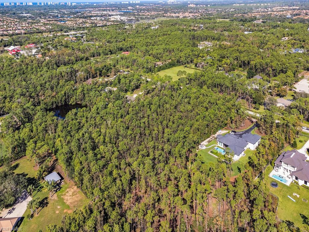 LIVINGSTON WOODS - Land