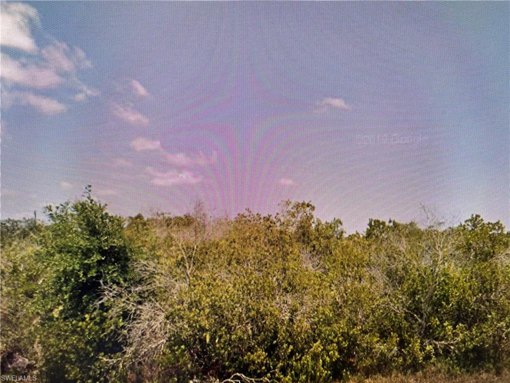 SOUTH GULF COVE - Land