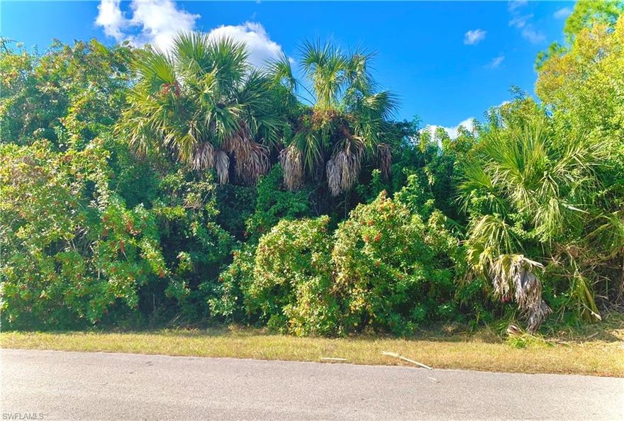 GREAT LOCATION Stunning 1.14-acres Lot located in Golden Gate Estates of Naples FL nestled away on quiet paved street. Quick commute from to all major amenities NOT IN a flood zone. HORSES OKAY! Come build your DREAM HOME or INVEST today!