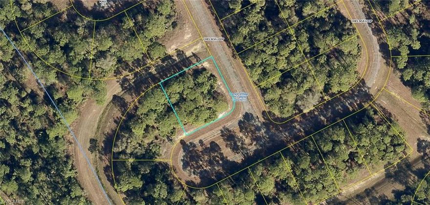 Build your NEW HOME on this over-sized corner lot located in Banyan Village. This .35 acre property is located approximately 10 minutes east of downtown LaBelle so it's just a short drive to shopping and schools. No HOA's or RESTRICTIONS! Central water is available! ** The adjacent lot is also available MLS# 2026012453**