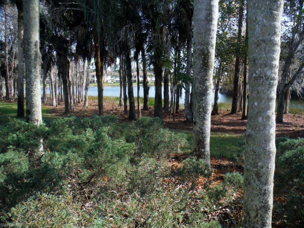 LAKESIDE VILLAS AT WILDCAT RUN - Residential