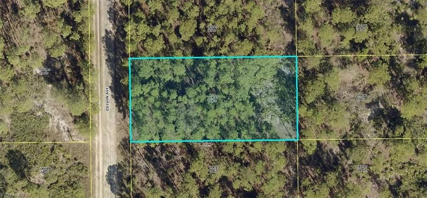 Easy to clear, in a growing neighborhood. This half acre has lots of space - you can build your pool home with enough room to have a shed or your toys out back. Minutes to Williams park, grocery stores, the fire department is within a few minutes. Middle & high schools just a short distance.