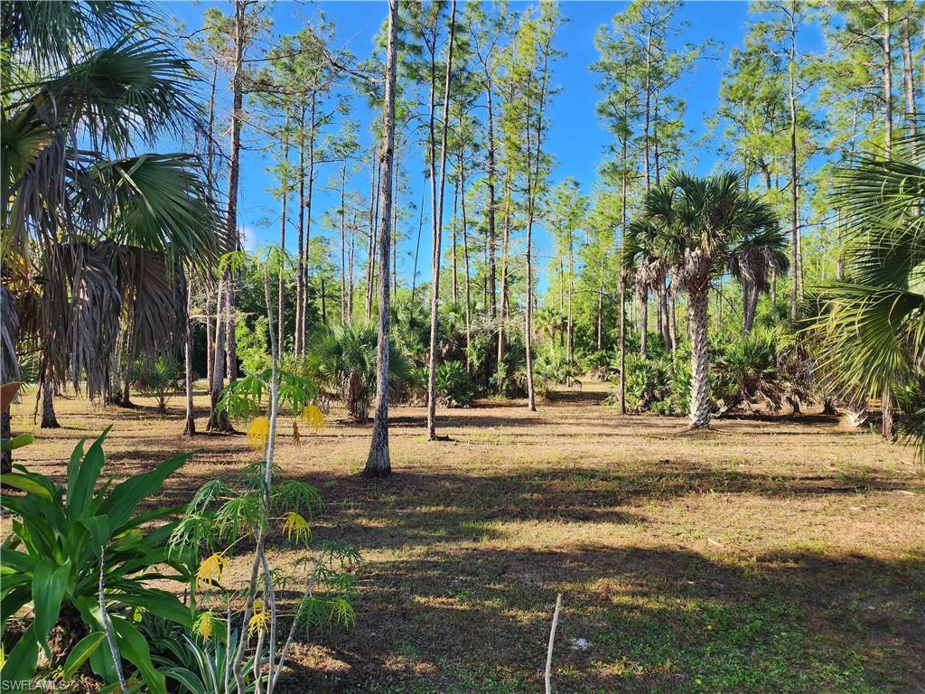 GOLDEN GATE ESTATES - Land